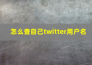 怎么查自己twitter用户名