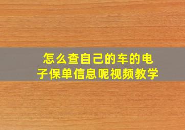 怎么查自己的车的电子保单信息呢视频教学