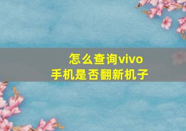 怎么查询vivo手机是否翻新机子