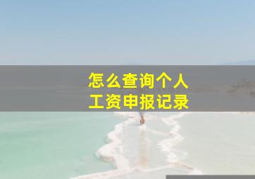 怎么查询个人工资申报记录