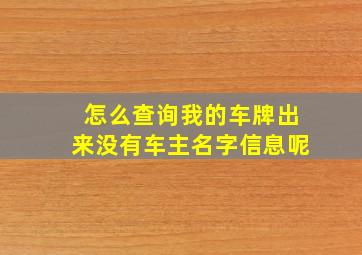 怎么查询我的车牌出来没有车主名字信息呢