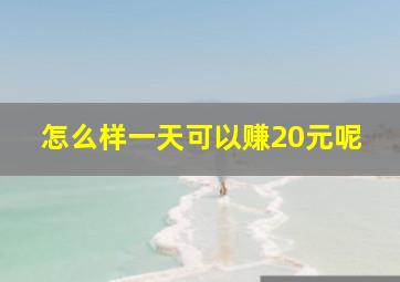 怎么样一天可以赚20元呢