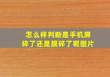 怎么样判断是手机屏碎了还是膜碎了呢图片