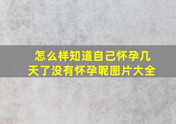 怎么样知道自己怀孕几天了没有怀孕呢图片大全