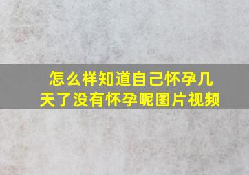 怎么样知道自己怀孕几天了没有怀孕呢图片视频