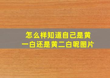 怎么样知道自己是黄一白还是黄二白呢图片