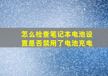 怎么检查笔记本电池设置是否禁用了电池充电