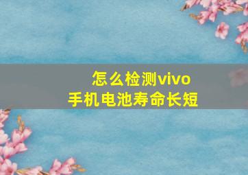 怎么检测vivo手机电池寿命长短