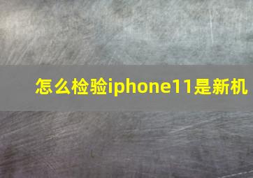 怎么检验iphone11是新机