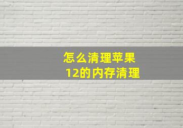 怎么清理苹果12的内存清理