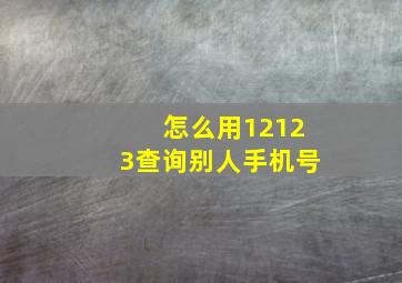 怎么用12123查询别人手机号