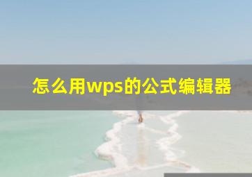 怎么用wps的公式编辑器