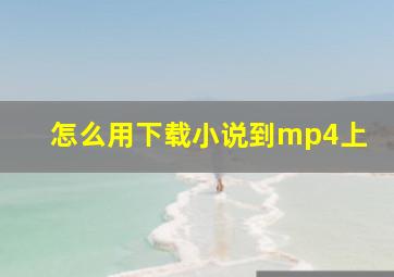 怎么用下载小说到mp4上