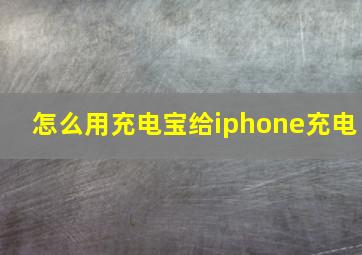 怎么用充电宝给iphone充电