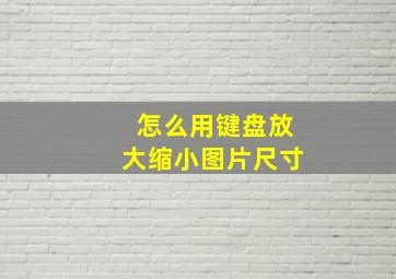 怎么用键盘放大缩小图片尺寸