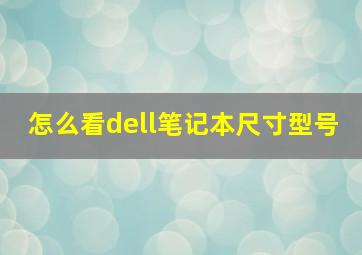 怎么看dell笔记本尺寸型号