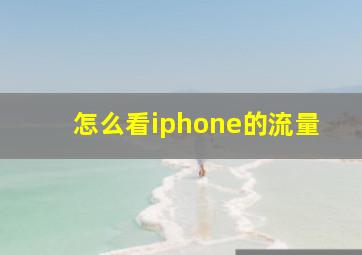 怎么看iphone的流量