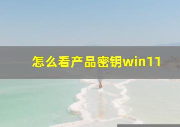 怎么看产品密钥win11