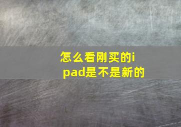 怎么看刚买的ipad是不是新的