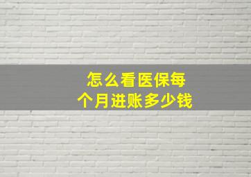 怎么看医保每个月进账多少钱