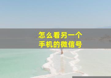 怎么看另一个手机的微信号