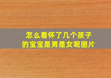 怎么看怀了几个孩子的宝宝是男是女呢图片