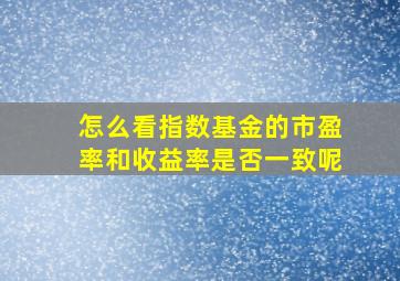 怎么看指数基金的市盈率和收益率是否一致呢