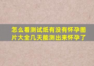 怎么看测试纸有没有怀孕图片大全几天能测出来怀孕了