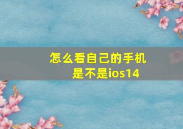 怎么看自己的手机是不是ios14