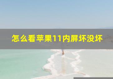 怎么看苹果11内屏坏没坏