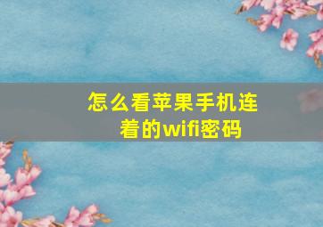 怎么看苹果手机连着的wifi密码