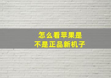 怎么看苹果是不是正品新机子