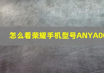 怎么看荣耀手机型号ANYA00