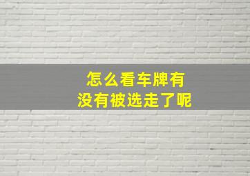 怎么看车牌有没有被选走了呢