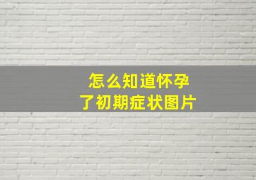 怎么知道怀孕了初期症状图片