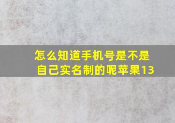 怎么知道手机号是不是自己实名制的呢苹果13