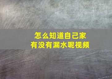 怎么知道自己家有没有漏水呢视频