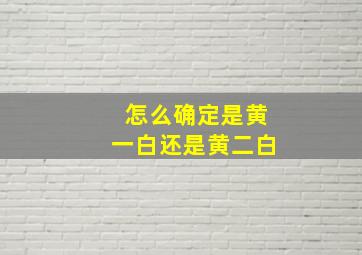 怎么确定是黄一白还是黄二白