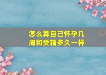 怎么算自己怀孕几周和受精多久一样