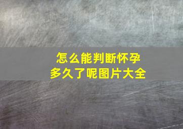 怎么能判断怀孕多久了呢图片大全