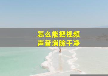 怎么能把视频声音消除干净