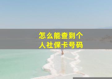 怎么能查到个人社保卡号码