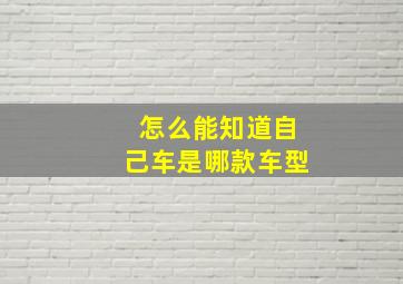 怎么能知道自己车是哪款车型