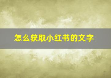 怎么获取小红书的文字