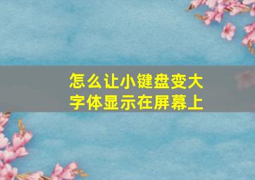 怎么让小键盘变大字体显示在屏幕上