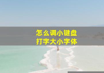 怎么调小键盘打字大小字体