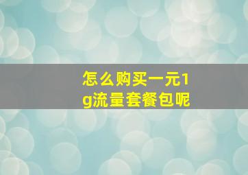 怎么购买一元1g流量套餐包呢