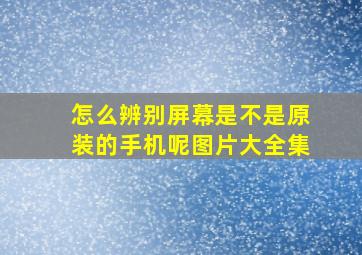 怎么辨别屏幕是不是原装的手机呢图片大全集