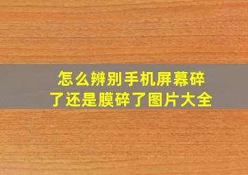 怎么辨别手机屏幕碎了还是膜碎了图片大全