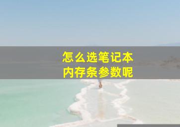 怎么选笔记本内存条参数呢